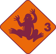 Schwimmkurs für Kinder - 2A - Test 3+4